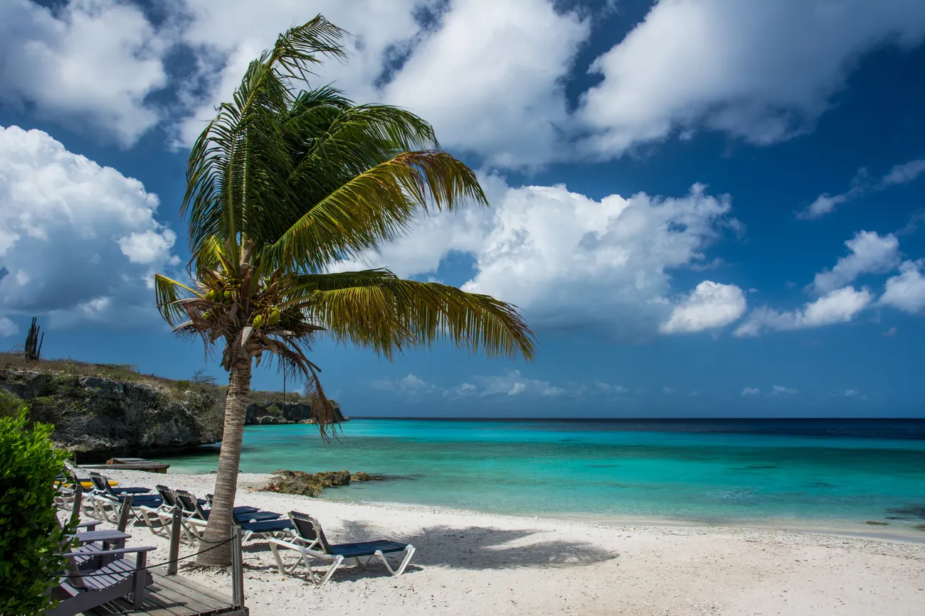 A beach with palm trees and turquoise water